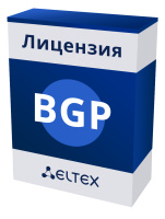 Лицензия BGP