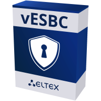 Программный пограничный контроллер сессий vESBC