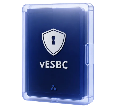 vESBC большое