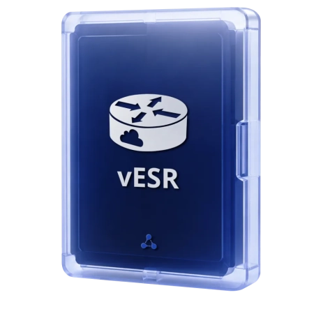 Virtualnyy-servisnyy-marshrutizator-vESR большое