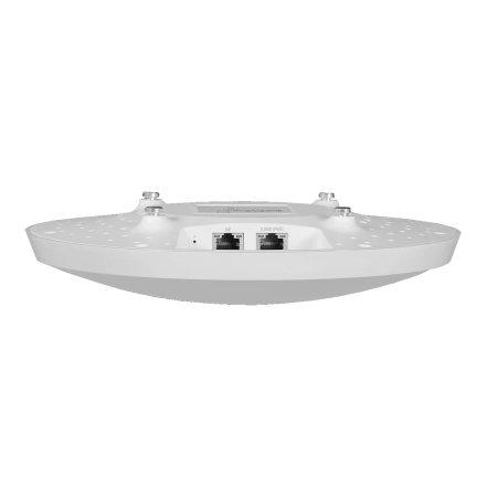 WEP 50L back большое