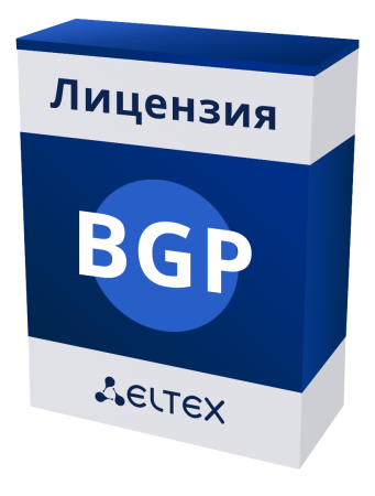 Опция Лицензия BGP для Ethernet коммутаторов СГЭП