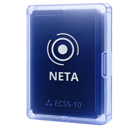 NETA большое